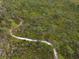 Aerial view of a winding trail through lush forest at 1845 Edison Dr, Englewood, FL 34224