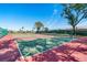 Two lighted pickleball courts in a community at 632 Balsam Apple Dr, Venice, FL 34293