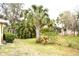 Expansive backyard with lush tropical plants and plenty of shade at 21217 Knollwood Ave, Port Charlotte, FL 33952