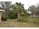 Landscaped backyard with lush tropical foliage at 21217 Knollwood Ave, Port Charlotte, FL 33952