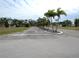 Quiet community road lined with palm trees at 5448 Joy Ct, North Port, FL 34287