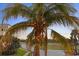 Mature palm tree with coconuts in front of house at 10501 Amberjack Way # 101, Englewood, FL 34224