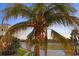 A lush palm tree displays ripening coconuts, adding tropical charm to the property and surroundings at 10501 Amberjack Way # 101, Englewood, FL 34224