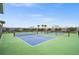 Two pickleball courts with green and blue surface at 44259 Saddlewood Ct, Punta Gorda, FL 33982