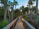 Picturesque lighted walkway leading to a charming home, surrounded by lush tropical foliage and palm trees at 700 N River Rd, Venice, FL 34293