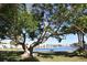 Relaxing view of the lake from under a large tree at 108 Pompano Se Dr # D, St Petersburg, FL 33705