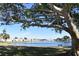 Peaceful lake view with a bench under a large tree at 108 Pompano Se Dr # D, St Petersburg, FL 33705