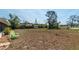 Large backyard with shed and plenty of space at 1971 Massachusetts Ave, Englewood, FL 34224