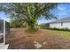 Large backyard with mature trees and grassy area at 12071 Claremont Dr, Port Charlotte, FL 33981