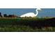 Peaceful waterfront view with egret bird at 25533 Heritage Lake Blvd # 19, Punta Gorda, FL 33983