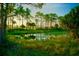 Scenic pond surrounded by lush vegetation at 6208 Keating Ave, North Port, FL 34291