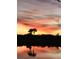 Stunning sunset view over the lake with palm trees silhouetted at 14033 Black Beauty Dr # 511, Punta Gorda, FL 33955