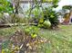 Large pomelo tree with several ripe fruit in the yard at 6642 Acacia Ct, North Port, FL 34287