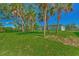 Large backyard with mature palm trees providing shade at 1325 Goshen Rd, North Port, FL 34288
