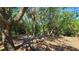 Landscaped backyard with seating area at 24362 Yacht Club Blvd, Punta Gorda, FL 33955