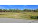 Open grassy area with tropical landscaping at 24362 Yacht Club Blvd, Punta Gorda, FL 33955
