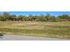 Large grassy backyard with a playset at 24362 Yacht Club Blvd, Punta Gorda, FL 33955