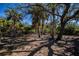 Relaxing hammock nestled among lush palm trees at 24362 Yacht Club Blvd, Punta Gorda, FL 33955