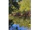 Tranquil waterfront view with lush mangrove trees and calm water at 24362 Yacht Club Blvd, Punta Gorda, FL 33955