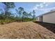 Large backyard with a view of the surrounding pine trees at 27066 Sumatra Dr, Punta Gorda, FL 33955