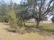 Simple backyard with grass and mature trees at 5232 Palena Blvd, North Port, FL 34287