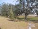 Simple backyard with grass and mature trees at 5232 Palena Blvd, North Port, FL 34287