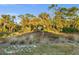 Natural Florida landscape with palm trees and grasses at 17638 Palmetto Pass Ln, Punta Gorda, FL 33982