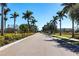 Palm-tree lined road in Calusa Creek community at 5277 Shell Mound Cir, Punta Gorda, FL 33982