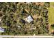 House nestled in a wooded lot, seen from above at 5301 Sabal Palm Ln, Punta Gorda, FL 33982