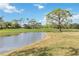 Beautiful landscape with pond and mature trees at 2209 Calusa Lakes Blvd, Nokomis, FL 34275