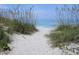 Sandy beach access path with sea oats leading to the ocean at 316 Antis Dr, Rotonda West, FL 33947