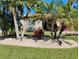 Landscaped front yard with palm trees and drought-tolerant plants at 316 Antis Dr, Rotonda West, FL 33947