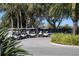 Golf carts parked near palm trees at 1207 Highland Greens Dr, Venice, FL 34285