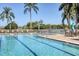 Resort-style pool with ample lounge chairs and a spacious deck at 1207 Highland Greens Dr, Venice, FL 34285