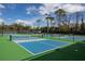 Outdoor pickleball courts with green and blue surface at 13298 Scrub Jay Ct, Port Charlotte, FL 33953