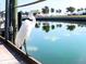 Great egret on a dock overlooking calm water at 4200 Kilpatrick St, Port Charlotte, FL 33948