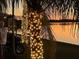 Palm trees decorated with string lights at dusk, creating a magical ambiance at 422 Omen St, Punta Gorda, FL 33982