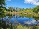 Serene pond view with abundant natural vegetation surrounding the water at 1136 Davis Ln, Englewood, FL 34224