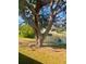 Backyard with large tree and waterfront view at 18938 Ayrshire Cir, Port Charlotte, FL 33948
