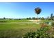 Beautiful landscaping and palm trees surround the property at 3919 San Rocco Dr # 31A, Punta Gorda, FL 33950