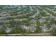 Overhead view of a residential area with lush greenery and neatly planned single-Gathering homes and landscaping at 1407 Red Oak Ln, Port Charlotte, FL 33948