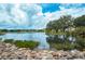 Serene lake view from the community, featuring lush greenery and clear blue skies at 1407 Red Oak Ln, Port Charlotte, FL 33948
