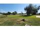 Large backyard with mature trees and a community pool in view at 181 Coconut St, Punta Gorda, FL 33980