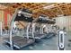 Well-equipped gym featuring multiple treadmills and various workout equipment, perfect for fitness enthusiasts at 91 Vivante Blvd # 402/9142, Punta Gorda, FL 33950