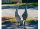 Sandhill Cranes stand side-by-side in front of a house at 5688 Mashie Cir, North Port, FL 34287