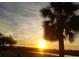 Tranquil sunset over a palm tree and waterfront view at 5688 Mashie Cir, North Port, FL 34287