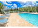 Community pool area featuring lounge chairs, palm trees, and clear blue water at 7325 Mikasa Dr, Punta Gorda, FL 33950