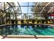 Sparkling pool with clear blue water, lush landscaping, and a screened enclosure at 27199 Punta Cabello Ct, Punta Gorda, FL 33983