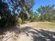 Scenic backyard featuring natural landscape and vegetation at 432 Olivia Rd, Venice, FL 34293