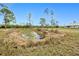 Idyllic pond reflecting the clear blue sky, surrounded by native grasses and tall pines at 6171 Swiss Blvd, Punta Gorda, FL 33982